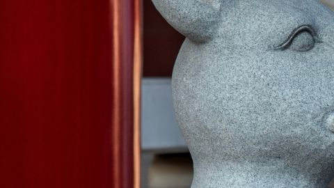 El zodiaco chino entra en un ciclo de desafíos y oportunidades del 7 al 9 de noviembre.