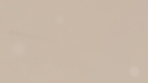 Se les recomienda a estos signos meditar antes de tomar decisiones importantes.