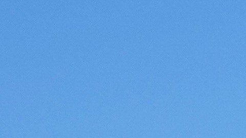 El servicio se activa cuando un inmigrante es detenido y su auto queda abandonado en un estacionamiento, en la vía pública o en algún punto de tránsito.