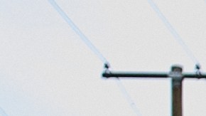 Tras la expiración del TPS, a las 11:59 pm del 7 de noviembre de 2025, miles de venezolanos quedaron en un limbo migratorio en Estados Unidos.