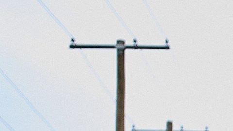 Tras la expiración del TPS, a las 11:59 pm del 7 de noviembre de 2025, miles de venezolanos quedaron en un limbo migratorio en Estados Unidos.