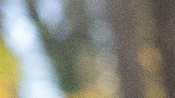 Según el Departamento de Seguridad, el estudiante participó en una obstrucción contra los agentes de ICE.