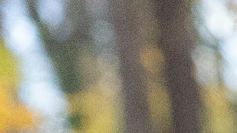 Según el Departamento de Seguridad, el estudiante participó en una obstrucción contra los agentes de ICE.