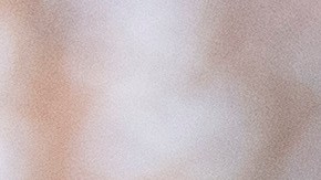 Agentes de ICE la detuvieron el 14 de noviembre tras asistir a una nueva cita migratoria.