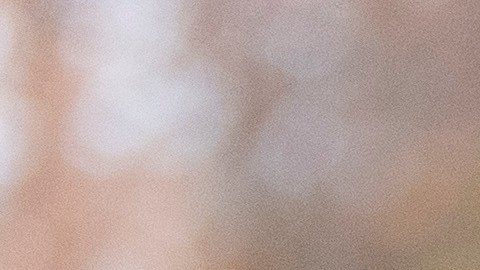 Agentes de ICE la detuvieron el 14 de noviembre tras asistir a una nueva cita migratoria.