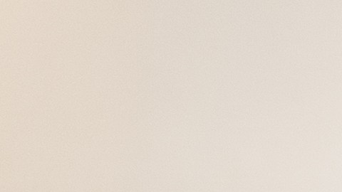 Los artistas se conocieron en Cuba, pero fue en México donde se reencontraron y se casaron.