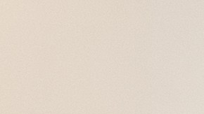 Los artistas se conocieron en Cuba, pero fue en México donde se reencontraron y se casaron.