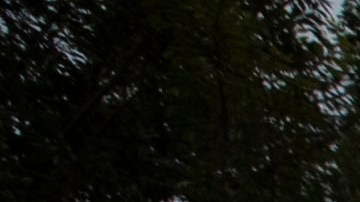 El DHS aclaró en un comunicado que el inmigrante mexicano se resistió al arresto y agredió a los agentes de ICE.