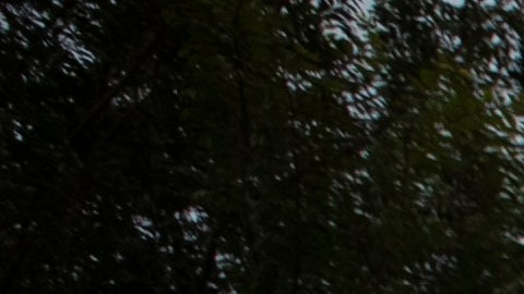 El DHS aclaró en un comunicado que el inmigrante mexicano se resistió al arresto y agredió a los agentes de ICE.