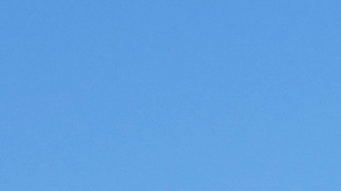 De acuerdo con el relato familiar, una parada de tránsito llevó a las autoridades a confundirlo con su hermano gemelo.