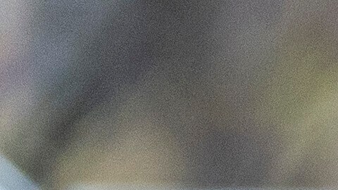 Pese al feriado de Thanksgiving, una fecha profundamente familiar, los agentes de ICE se mantienen en las calles.