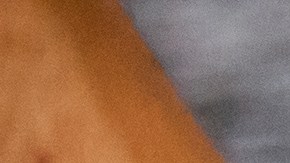 De los 253 inmigrantes que "contrataron", solo seis contaban con permiso legal para trabajar en Estados Unidos.