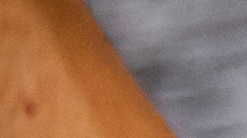 De los 253 inmigrantes que "contrataron", solo seis contaban con permiso legal para trabajar en Estados Unidos.