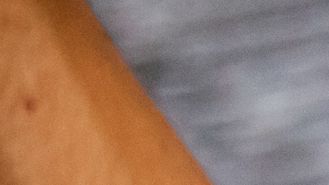 De los 253 inmigrantes que "contrataron", solo seis contaban con permiso legal para trabajar en Estados Unidos.