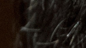 El juez afirma que los "errores" del gobierno en el caso de James Comey podrían resultar en la desestimación de los cargos.