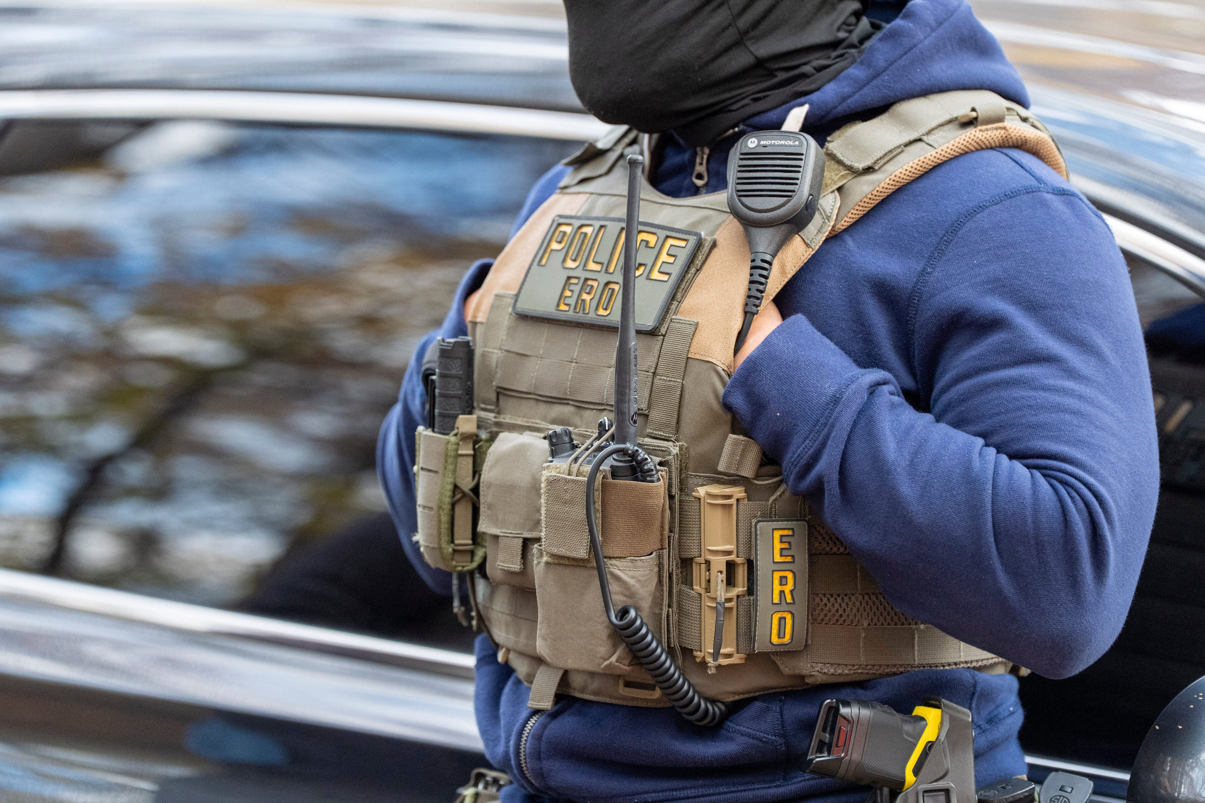 DHS Database Undermines Claims of Targeting Only Dangerous Criminals