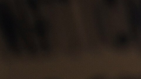 Equipo legal de James acusa que el objetivo del caso es castigar a James por su oposición al presidente Trump.