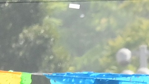 os jugadores de los Dodgers de Los Ángeles pasean por las calles de la ciudad al celebrar el campeonato de la Serie Mundial, el lunes 3 de noviembre de 2025, en Los Ángeles. (AP Foto/Kyusung Gong)