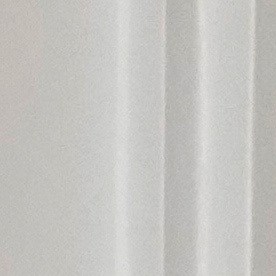 Dominicana argumenta profundas divergencias que actualmente dificultan un diálogo productivo en las Américas