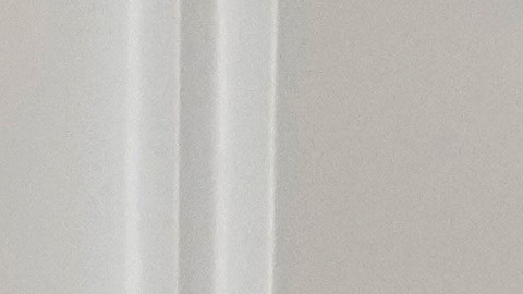 Dominicana argumenta profundas divergencias que actualmente dificultan un diálogo productivo en las Américas