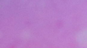 Millie Bobby Brown y David Harbour se abrazan en la alfombra roja de 'Stranger Things' en medio de acusaciones de acoso