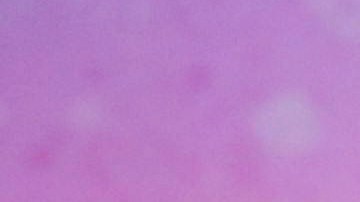 Millie Bobby Brown y David Harbour se abrazan en la alfombra roja de 'Stranger Things' en medio de acusaciones de acoso