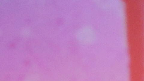 Millie Bobby Brown y David Harbour se abrazan en la alfombra roja de 'Stranger Things' en medio de acusaciones de acoso