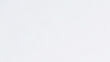 ¿Tienes esta moneda de veinticinco centavos del Bicentenario? Podrías valer hasta $20,000