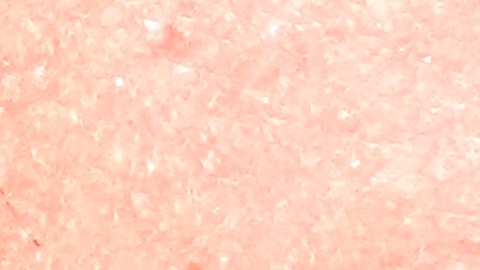 Mayoría de mujeres jóvenes votaron a favor de candidatos demócratas en las elecciones del 4 de noviembre de 2025.