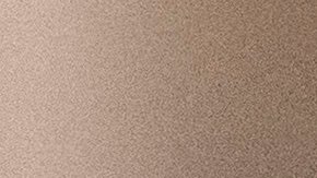 El caso de la inmigrante mexicana pasó a control de ICE cuando se identificó en una parada de tráfico con una tarjeta emitida en su país.