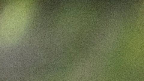 El abogado de inmigración que representa a los detenidos aseguró que el operativo de ICE fue "una investigación selectiva".