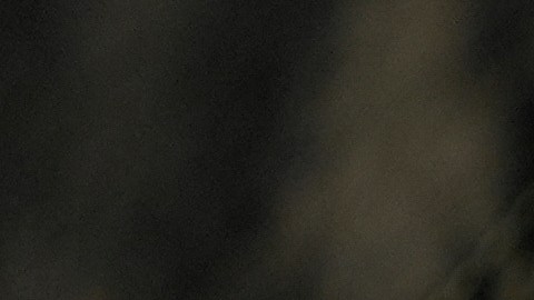 Agentes de ICE interceptaron al hombre en el estacionamiento de una tienda Home Depot, en Los Ángeles.