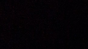 La entrega de pavos gratis es una tradición comunitaria para brindar alegrías en el Thanksgiving Day.