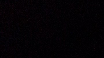 La entrega de pavos gratis es una tradición comunitaria para brindar alegrías en el Thanksgiving Day.