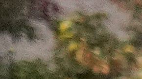 Efectivos de la Policía de Chicago tuvieron que intervenir en el operativo de la Patrulla Fronteriza para brindar apoyo.