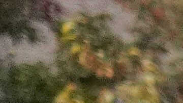 Efectivos de la Policía de Chicago tuvieron que intervenir en el operativo de la Patrulla Fronteriza para brindar apoyo.