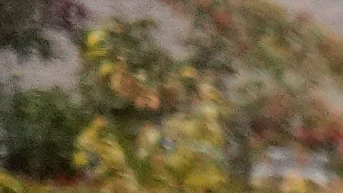 Efectivos de la Policía de Chicago tuvieron que intervenir en el operativo de la Patrulla Fronteriza para brindar apoyo.