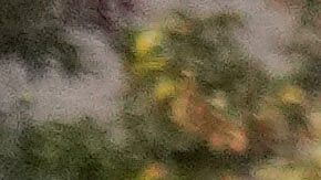 Efectivos de la Policía de Chicago tuvieron que intervenir en el operativo de la Patrulla Fronteriza para brindar apoyo.