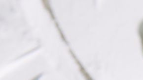 El 11 del mes 11 trae un mensaje para cada signo zodiacal.