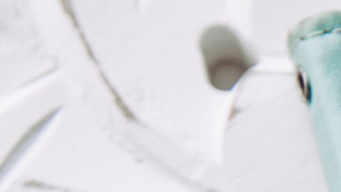 El 11 del mes 11 trae un mensaje para cada signo zodiacal.