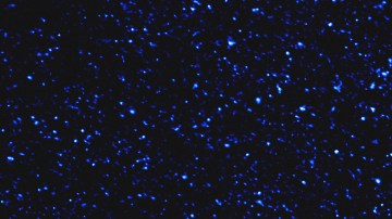 Algunos signos tendrán ajustes en el cierre de 2025.