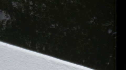 El USCIS establece reglas claras sobre cómo debe ser tu comportamiento al viajar fuera de EE.UU. como inmigrante con residencia permanente o Green Card.