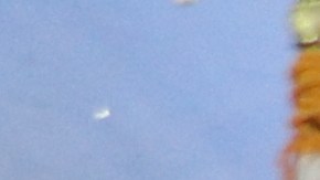 Alcaldesa de LA con veteranos que ahora ya tienen vivienda.