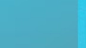 Davi, quien mide aproximadamente 1,70 metros y pesa 70 kilos, tiene cabello gris y ha sido docente de Bentley por más de 15 años.