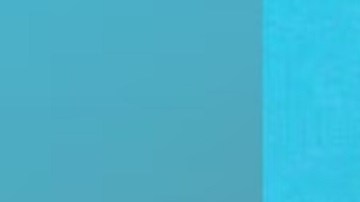 Davi, quien mide aproximadamente 1,70 metros y pesa 70 kilos, tiene cabello gris y ha sido docente de Bentley por más de 15 años.