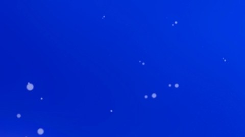 Predicciones astrológicas dicen que tienen más chances de atraer dinero.