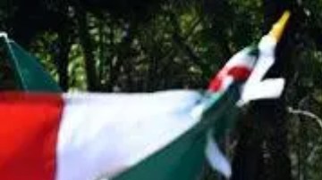 Manifestantes envueltos en gas lacrimógeno avanzan con banderas de México y del manga One Piece.