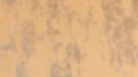 José Luis Rodríguez