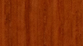 El sello del Departamento de Seguridad Nacional (DHS).