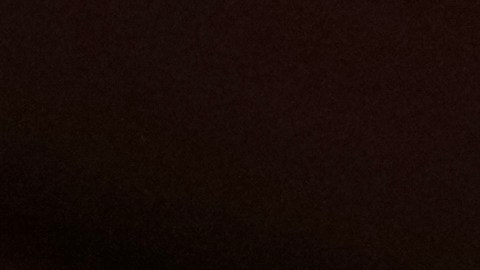 La medida ahora pasa a la Cámara de Representantes para poner fin al cierre más largo de la historia del país.